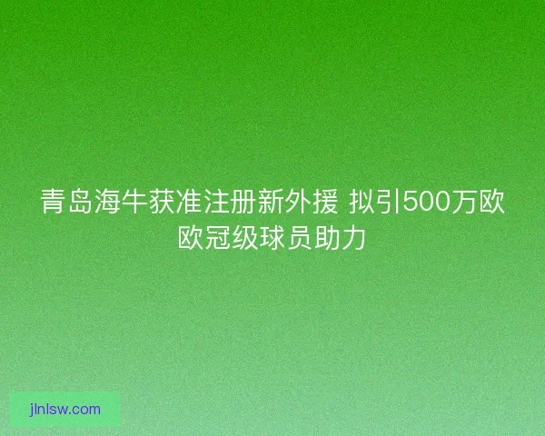 青岛海牛获准注册新外援 拟引500万欧欧冠级球员助力